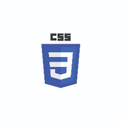 CSS